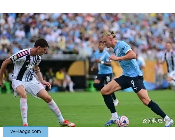 2025至2026赛季意甲联赛尤文图斯力压众豪门荣获第二名