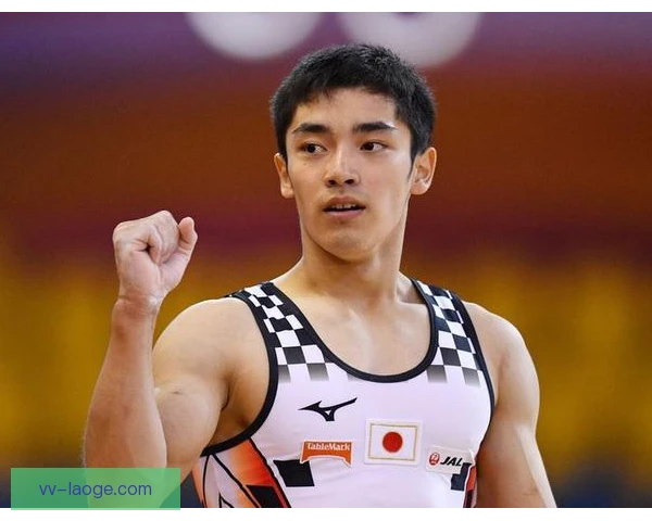白井健三专项训练设计，技术难度与落地稳定兼顾